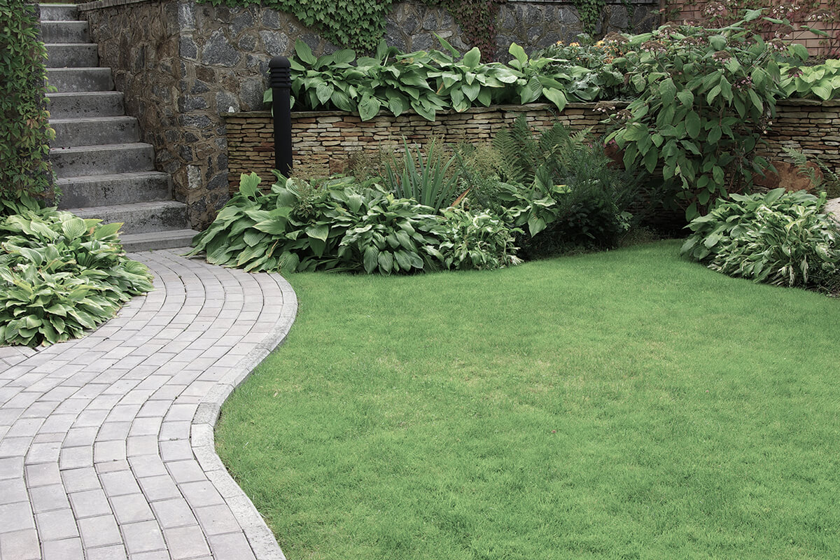 Welcome to Beechwood Landscaping